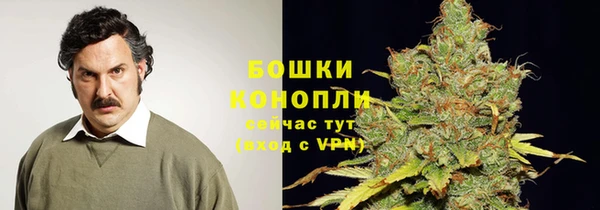 ALPHA PVP Богородск