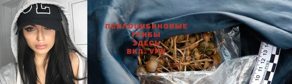 метадон Богородицк
