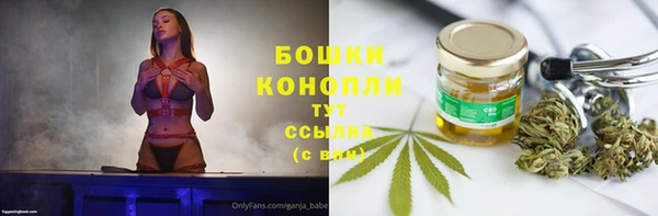 дживик Богданович