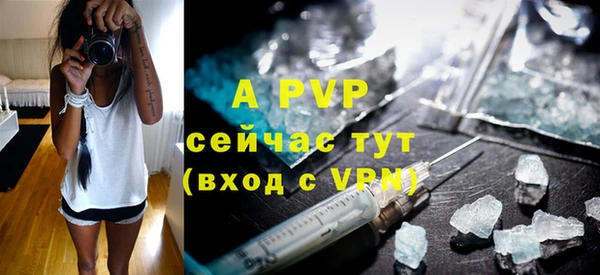 дживик Богданович