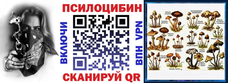 Купить закладки  Аргун  Галлюциногенные грибы Magic Shrooms 